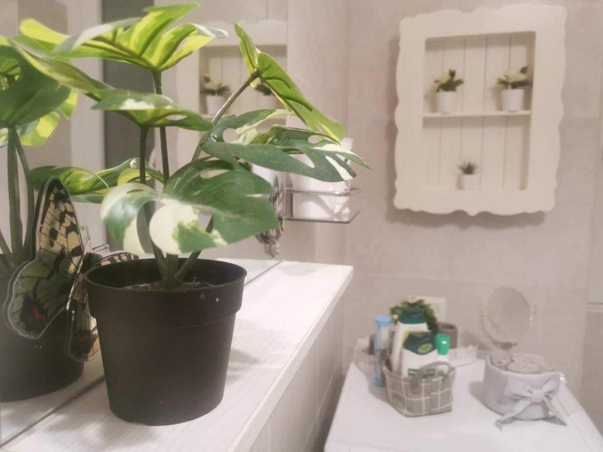 Apartmán Domus Flavi Řím Exteriér fotografie